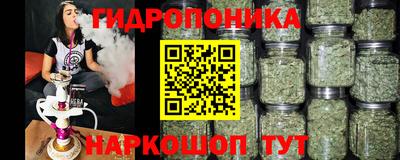 ешки Вышний Волочёк