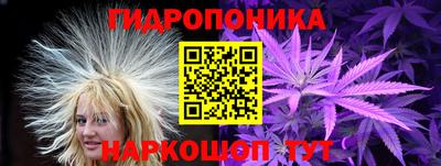 шишки Вязники