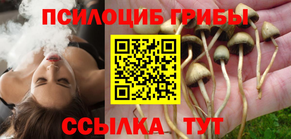 Зеленодольск  Псилоцибиновые грибы Psilocybe  Вход с VPN  Псилоцибиновые грибы Psilocybe 
